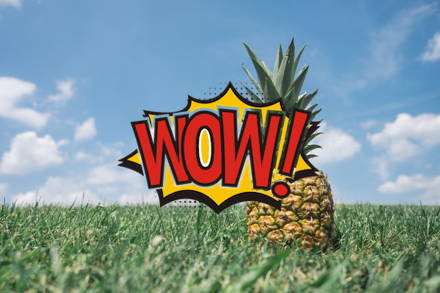 Overlay, centered, good for logo