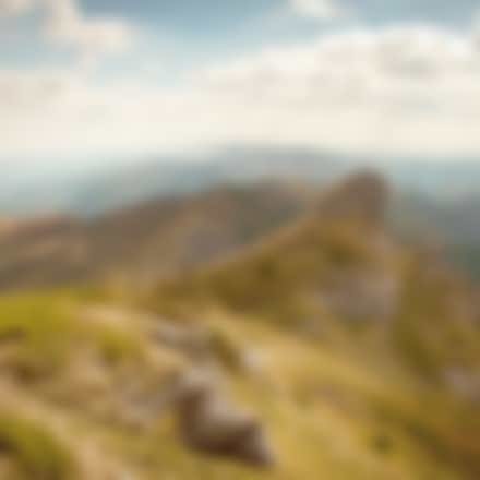 Blur cropped image and set gamma to dull colors