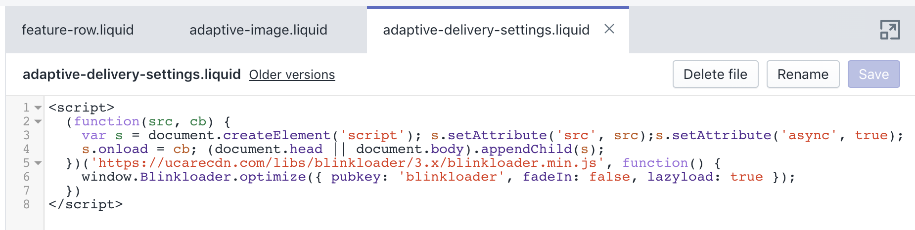 Adaptive Delivery Shopify integration