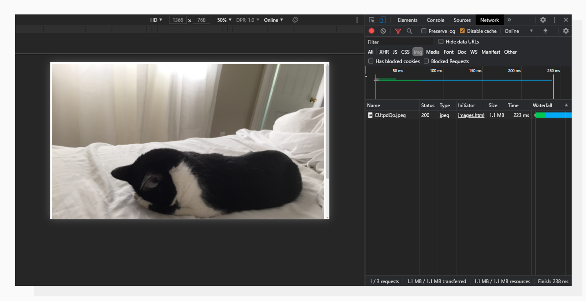 Original image of a cat with an open Network tab
