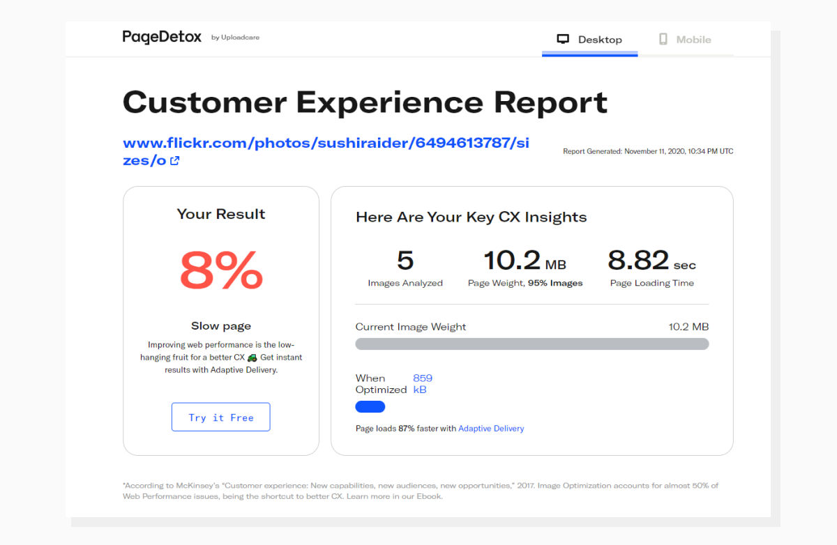 a screenshot of the PageDetox tool demonstrating image bottlenecks