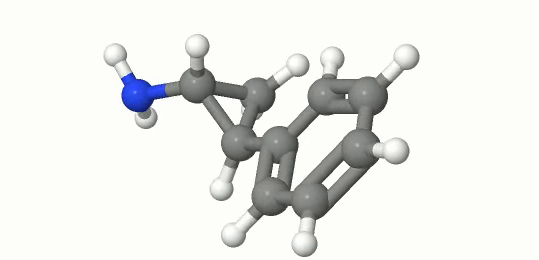 The 50th frame of sample.webm, converted file