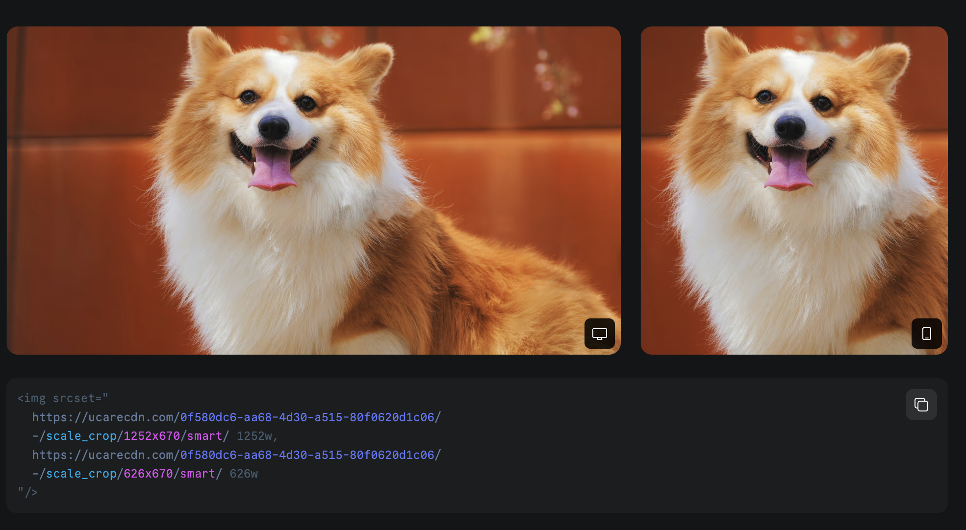 Responsive images example